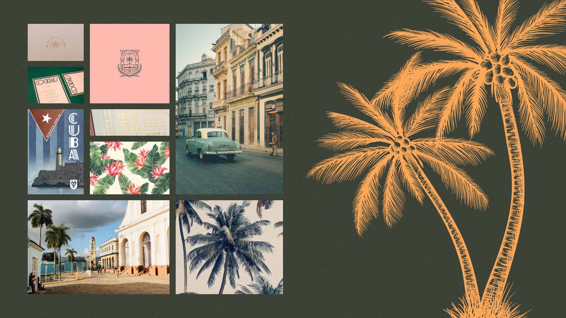 Moodboard for the First Gala with a collage of photos on left and palm tree illustration on right