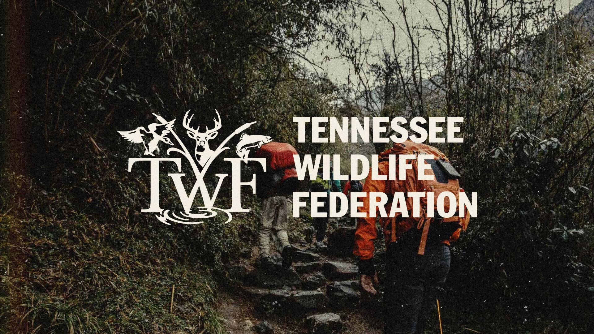 Tennessee Wildlife Federation logo on top of an image of two people walking on a hike with backpacks.