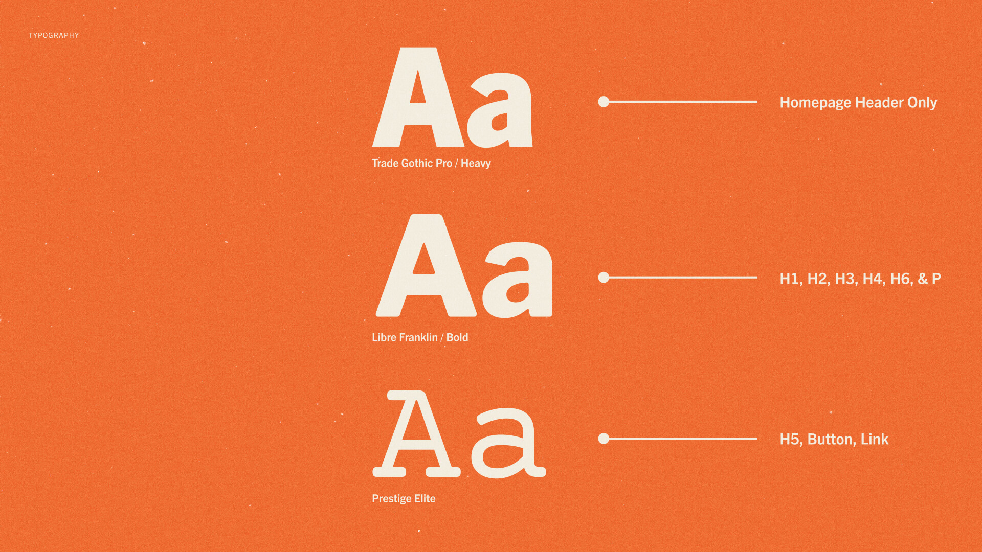 Typography system showcasing the different fonts used for the TWF brand.